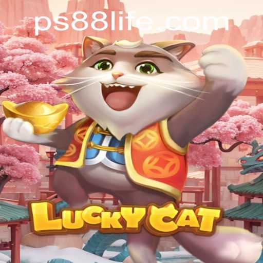 Exploring the World of LuckyCat