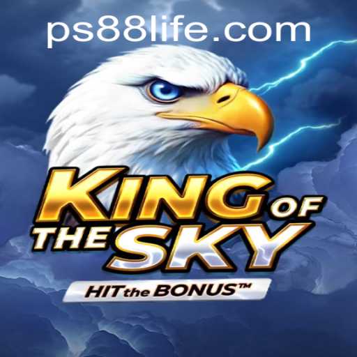 King of the Sky: Conquer the Virtual Skies